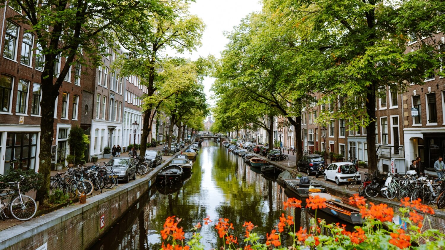 Discover the Charm of Amsterdam: A City of Canals, Culture, and History