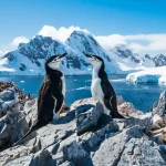 Exploring the Wonders of Antarctica: The Last Great Frontier