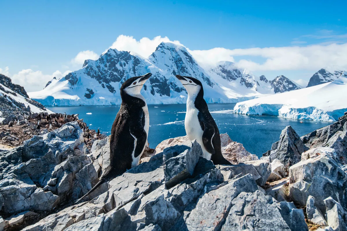 Exploring the Wonders of Antarctica: The Last Great Frontier